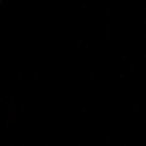 Meet your Posher, Evelyn